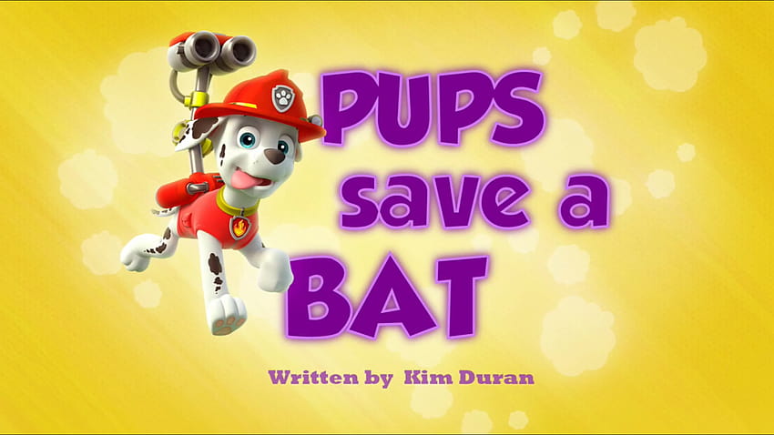 I cuccioli salvano un pipistrello / Galleria, i cuccioli della pattuglia salvano un toof Sfondo HD
