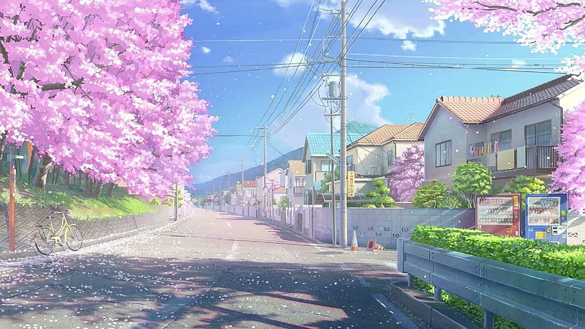 anime spring season street HD wallpaper