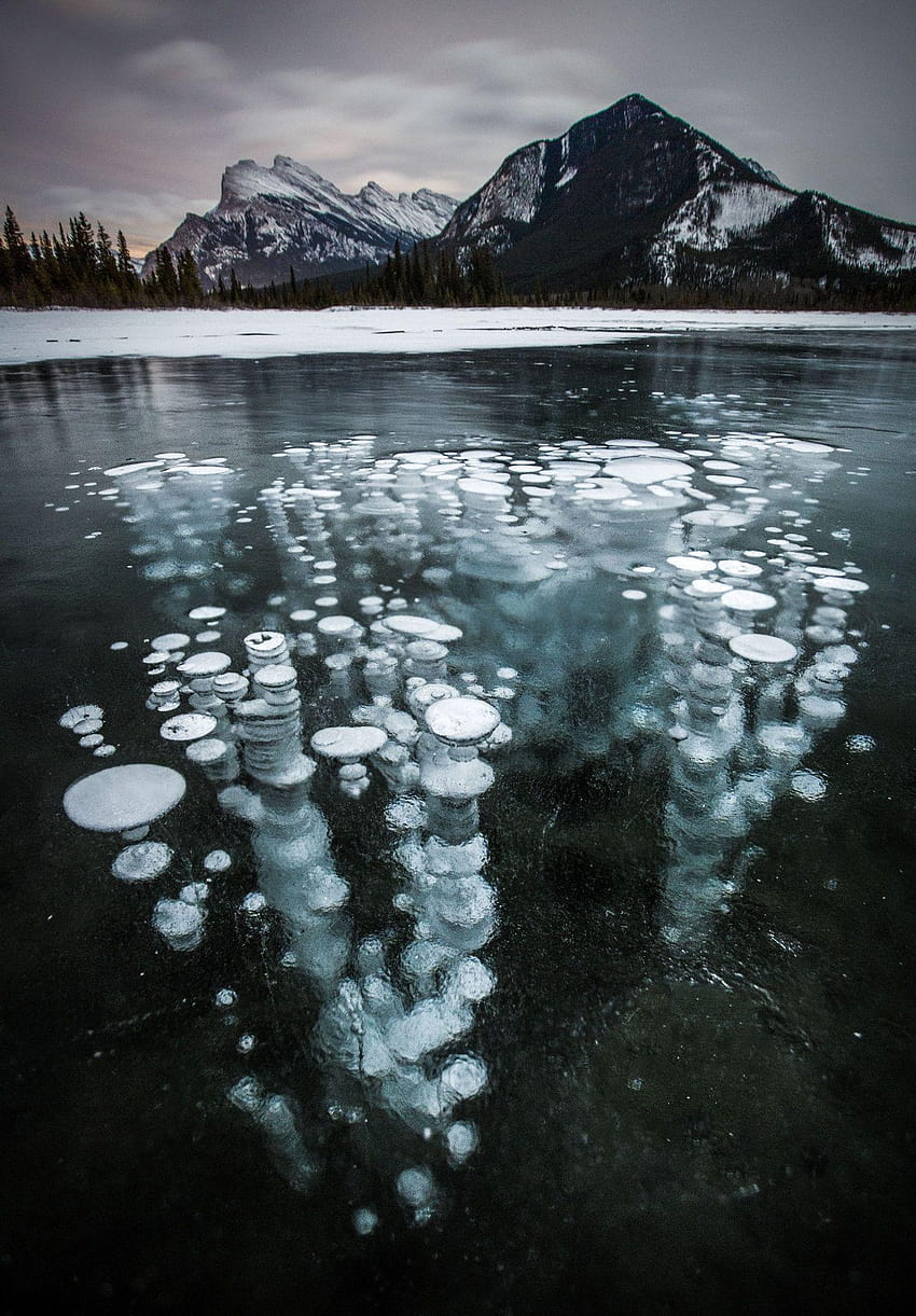 カナダの湖で凍った泡、アブラハム湖バンフ国立公園 HD電話の壁紙