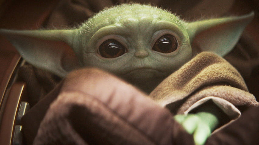 Die besten Baby-Yoda-Meme – Abwechslung, Baby-Yoda HD-Hintergrundbild