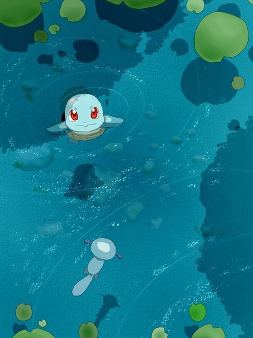 Squirtle for Android, squirtle android HD phone wallpaper