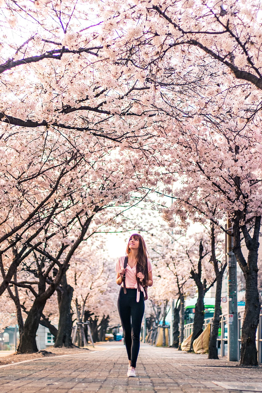 Mujer con chaqueta negra parada bajo un árbol de flor de cerezo blanco · Stock, flores de cerezo coreanas fondo de pantalla del teléfono