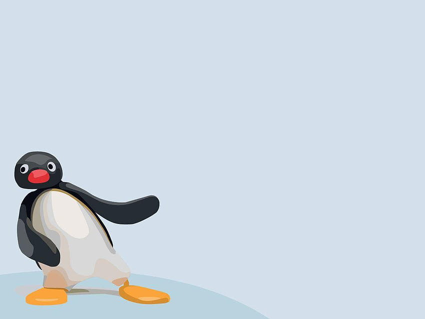Pingu by Pavu1on, pingu background HD wallpaper