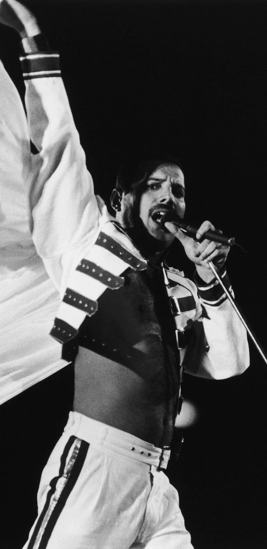 Freddie Mercury iPhone, queen band iphone HD phone wallpaper