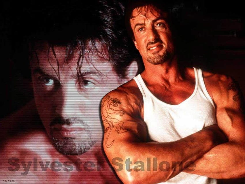 Sylvester Stallone HD wallpaper | Pxfuel