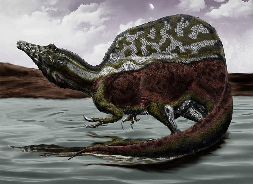 Dinosaurs spinosaurus animals ancient animals HD wallpapers | Pxfuel