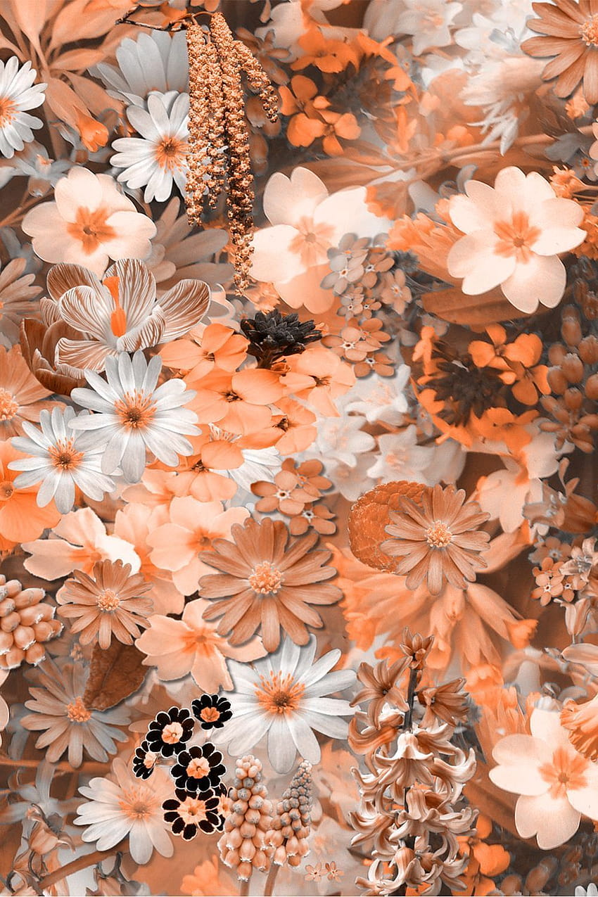  Aesthetic flower wallpaper   Flower iphone wallpaper Wallpaper  iphone summer Iphone wallpaper fall