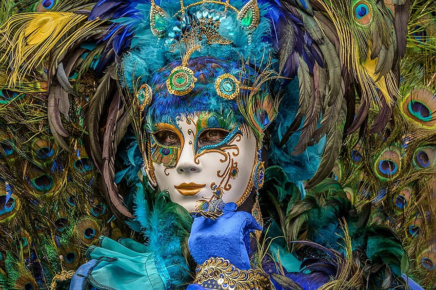 Girls Feathers Masks Carnival and masquerade, woman carnival HD wallpaper