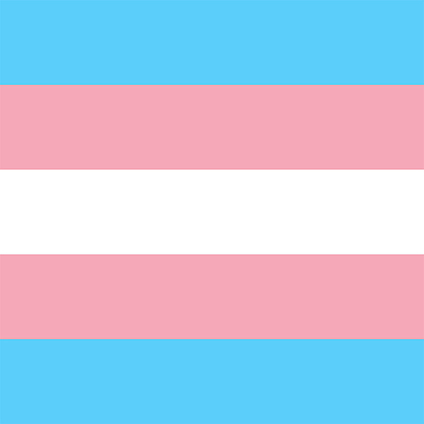 Filtro del Orgullo Transgénero, bandera trans y pan fondo de pantalla del teléfono