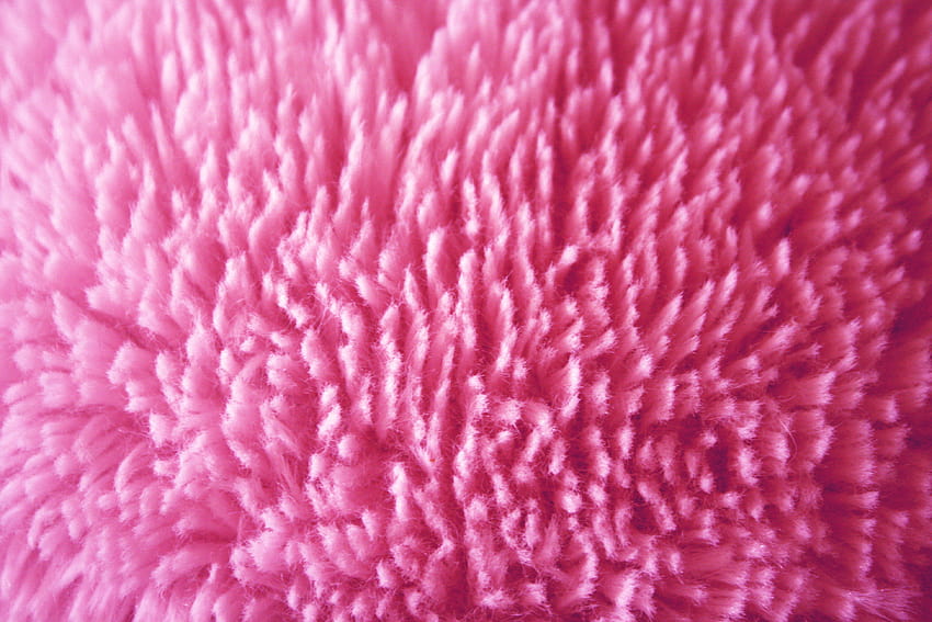 Plush Pink Fabric Texture graph, pink fur HD wallpaper