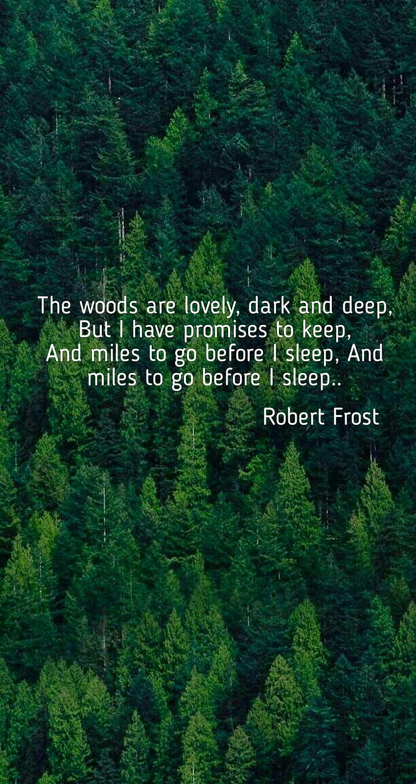 A floresta é linda, escura e profunda, Mas eu tenho promessas, poema Papel de parede de celular HD