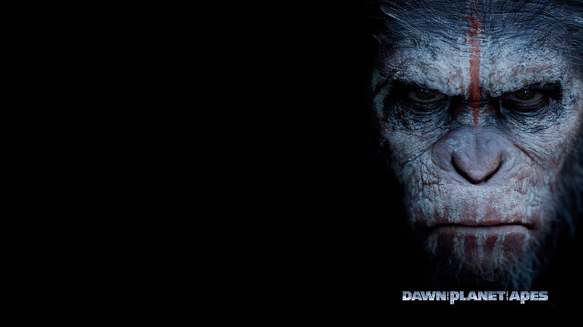 29 Dawn of the Planet of the Apes HD wallpaper