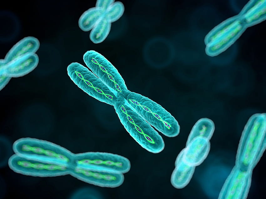 cromosoma, adn, patrón, genético, 3 d, psicodélico fondo de pantalla