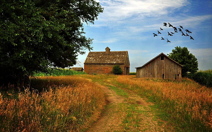 desktop wallpaper farm scenes summer farm scene