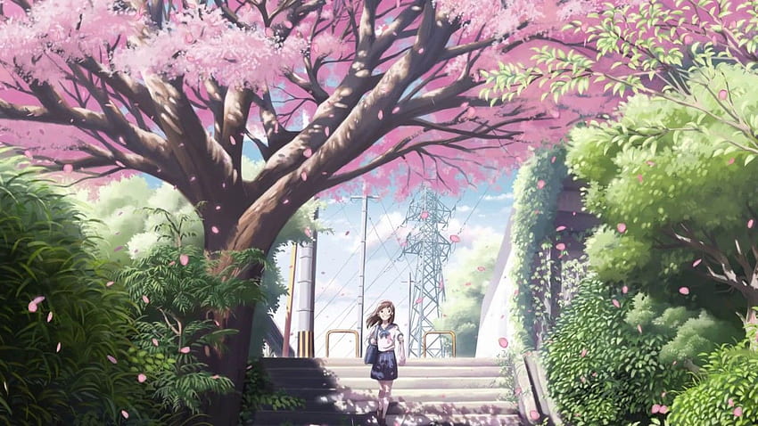 Anime Girl Relaxing Sakura Trees Live, árboles de anime sakura fondo de pantalla