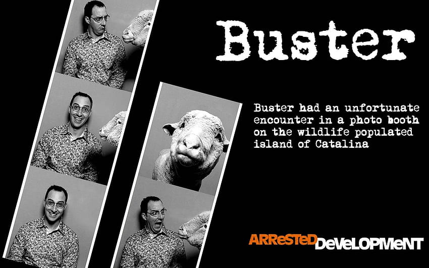 Arrested Development Buster HD wallpaper
