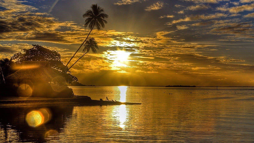 amanecer, isla, mar, palmera HD wallpaper