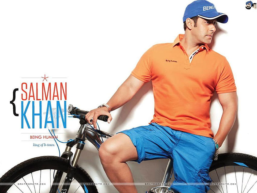 Hot of Bollywood Stars & Actors, salman khan HD wallpaper