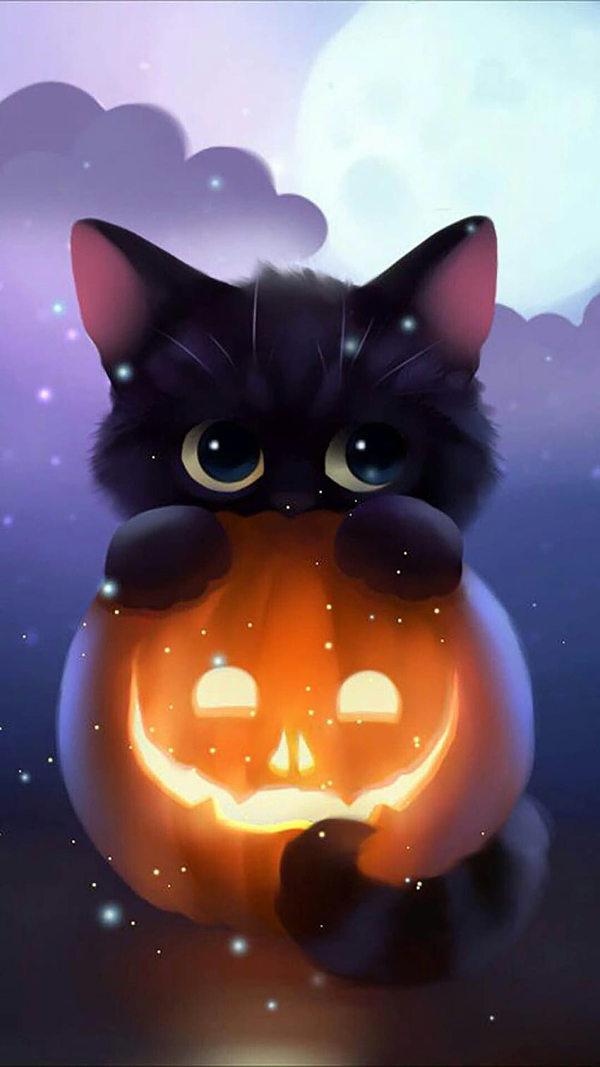 Halloween Cat Wallpapers  Top Free Halloween Cat Backgrounds   WallpaperAccess