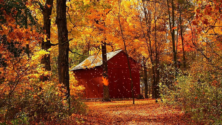 2 Autumn , Backgrounds, Imag, autumn 2021 HD wallpaper