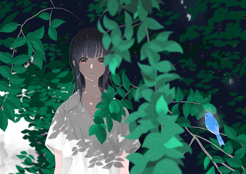Hibike Euphonium, Yoroizuka Mizore, Blätter, weißes Hemd, Liz To Aoi Tori HD-Hintergrundbild
