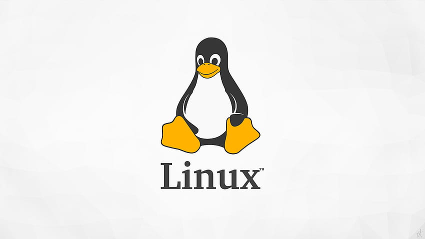 6 Linux Tux, pinguim linux escuro papel de parede HD