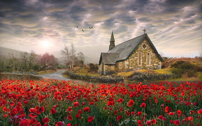 Свещени макове Ирландия Пролетни облаци Църква Стар път Дървета Цветя Птици Червено Красиво поле Пълно W... HD тапет