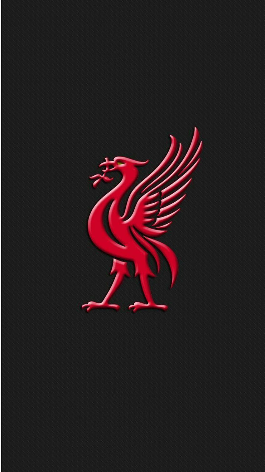 Liverpool untuk Android, hati burung wallpaper ponsel HD
