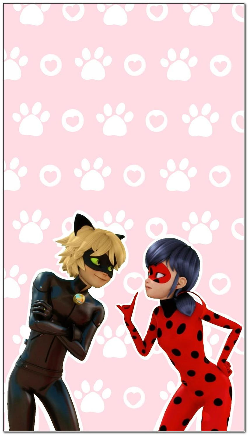 Ladybug And Cat Noir Iphone, miraculous tales of ladybug and cat noir HD phone wallpaper