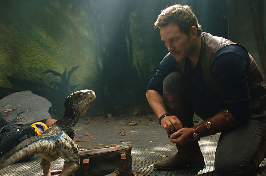 2560x1700 Chris Pratt und Little Raptor Jurassic World Fallen Kingdom Chromebook Pixel , Hintergründe und Velociraptor HD-Hintergrundbild
