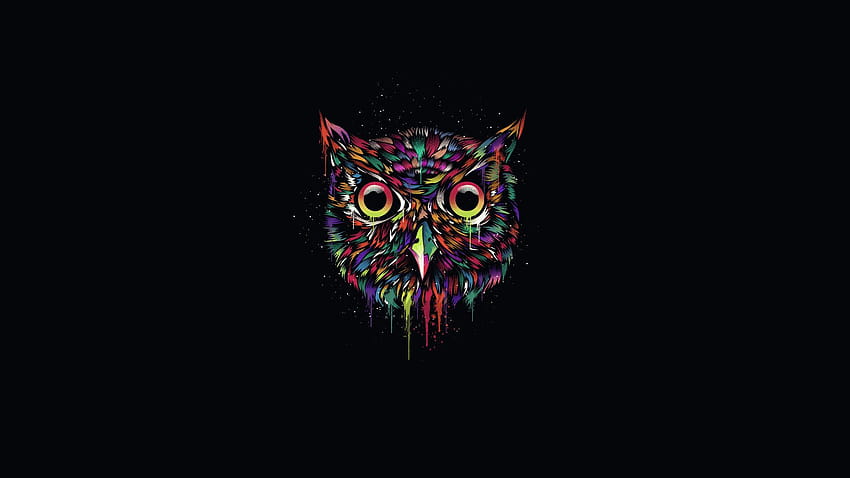 7 Ovo Owl HD wallpaper