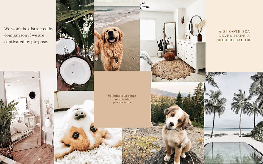cute aesthetic backgrounds, puppy collage HD wallpaper