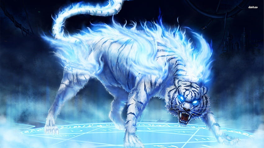 Tigre di fuoco, tigre blu Sfondo HD