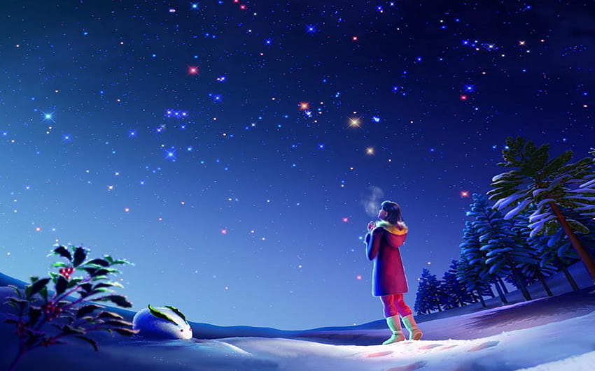 魔法の夜、クリスマス、冬の空、星、1920x1200 : 13、アニメの冬の空 高画質の壁紙