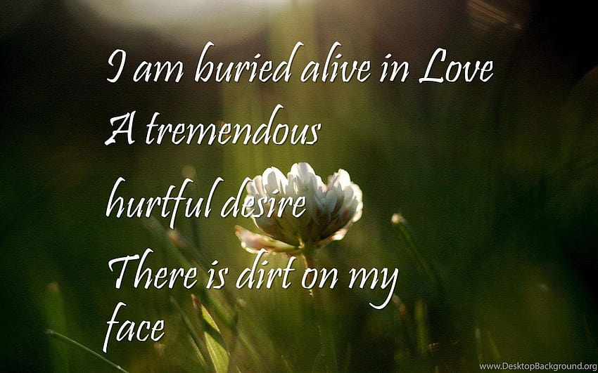 Where To Buy Love Hurts, True Love Quotes I Am Buried, love hurts quotes HD wallpaper