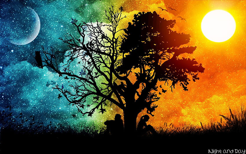 Night And Day Tree Silhouette HD wallpaper