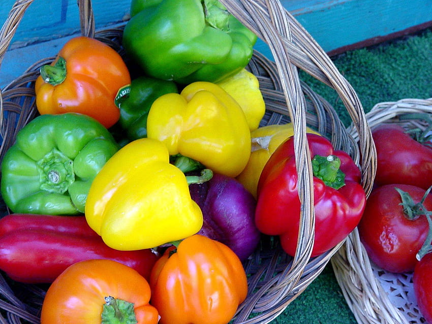 Legumes alimentos rabanete cebolas cestas tomates pimentas, pimentões papel de parede HD