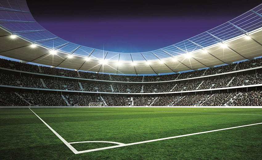 Lapangan Sepak Bola di Anjing, stadion nfl Wallpaper HD