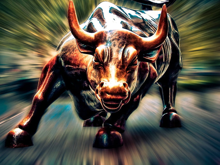 forex bull vs bear market wall street HD wallpaper