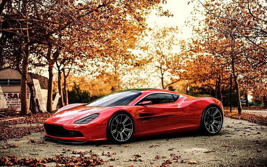 Aston Martin DBC Car Autumn, autumn and car HD wallpaper