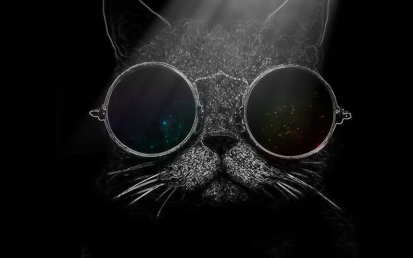 1045842 nero, gatto, occhiali da sole, bicchieri, graphy, naso, occhio, oscurità, computer , bianco e nero, graphy monocromatico, la cura della vista, organo, avvicinamento, macro graphy, occhiali, gatto con occhiali da sole Sfondo HD