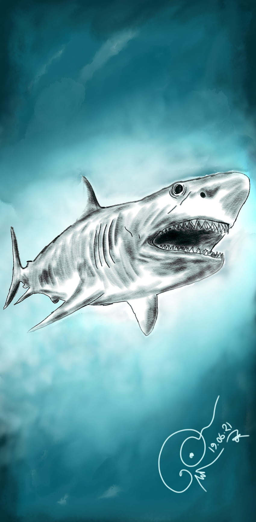 We have now 2 rare and 11 regular Megalodon. : Cardano, NFT, Crypto : r/CardanoNFTs HD phone wallpaper