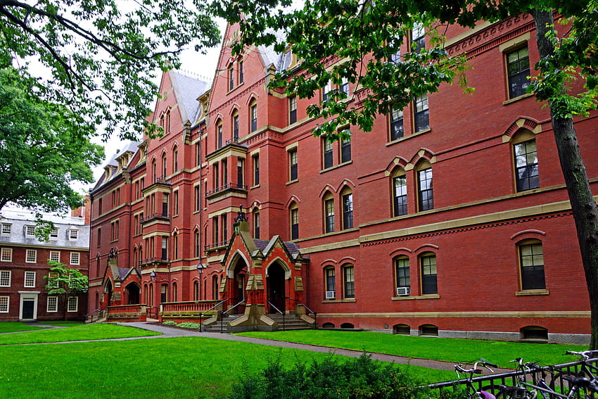 Universidade de Harvard, logotipo de harvard papel de parede HD