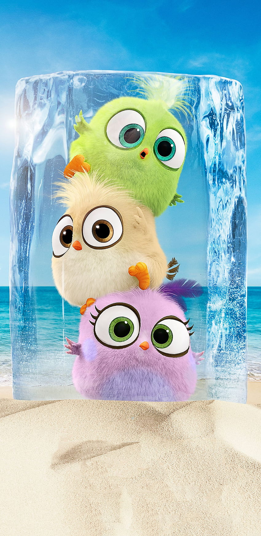 1440x2960 Hatchlings In The Angry Birds Movie 2 Samsung Galaxy Note 9,8, S9,S8,S Q , Backgrounds, and, angry birds cute HD phone wallpaper