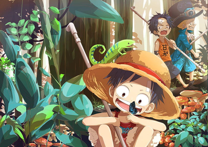 One Piece, Monkey D. Luffy, Sabo, Portgas D. Ace HD wallpaper