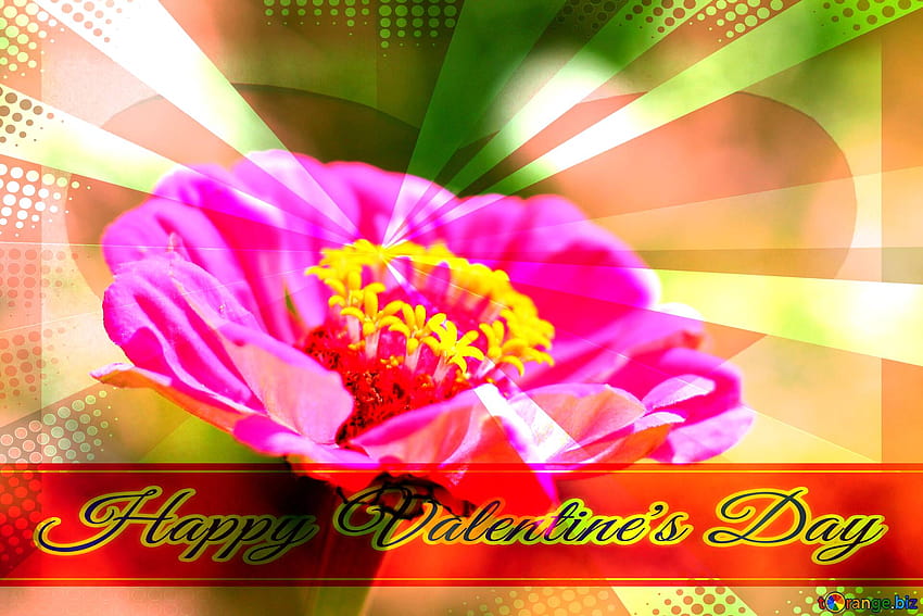 Latar belakang bunga untuk sampul latar belakang gaya retro kartu ucapan Zinnia Lettering Happy Valentine's Day di CC Wallpaper HD