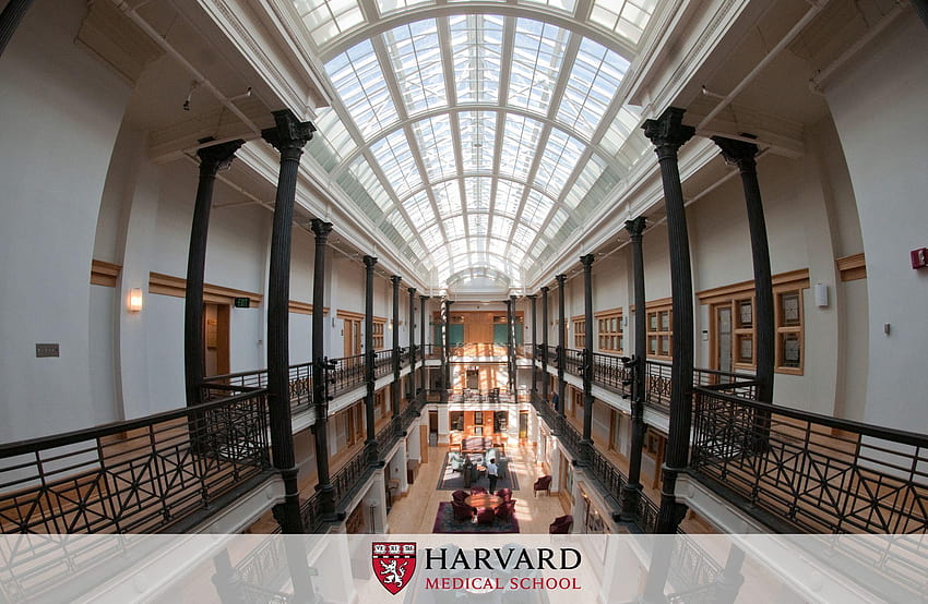 Harvard Universität HD-Hintergrundbild