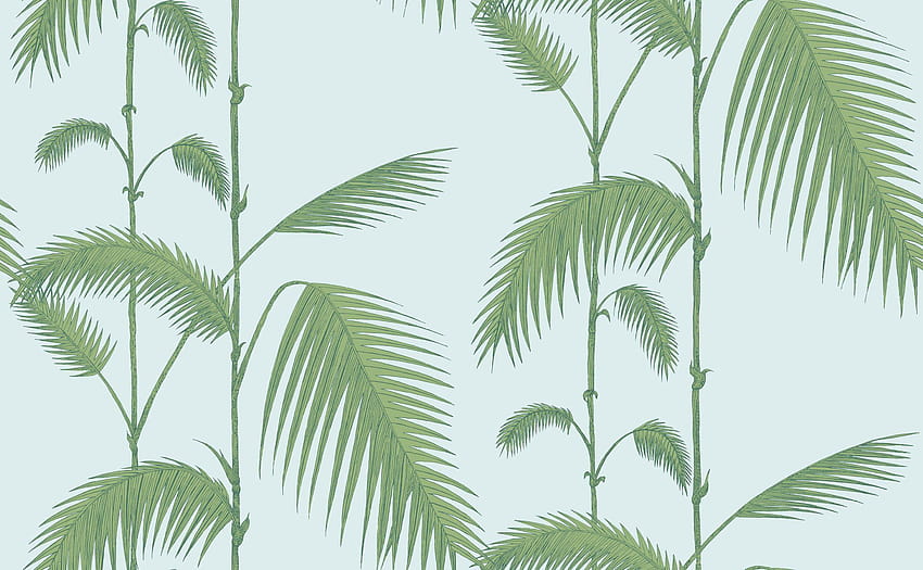 Cole & Son, palm leaves HD wallpaper