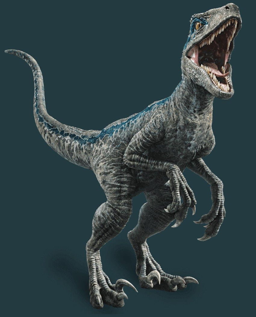 Jurassic World Fallen Kingdom penuh dengan Velociraptor, velociraptor biru wallpaper ponsel HD