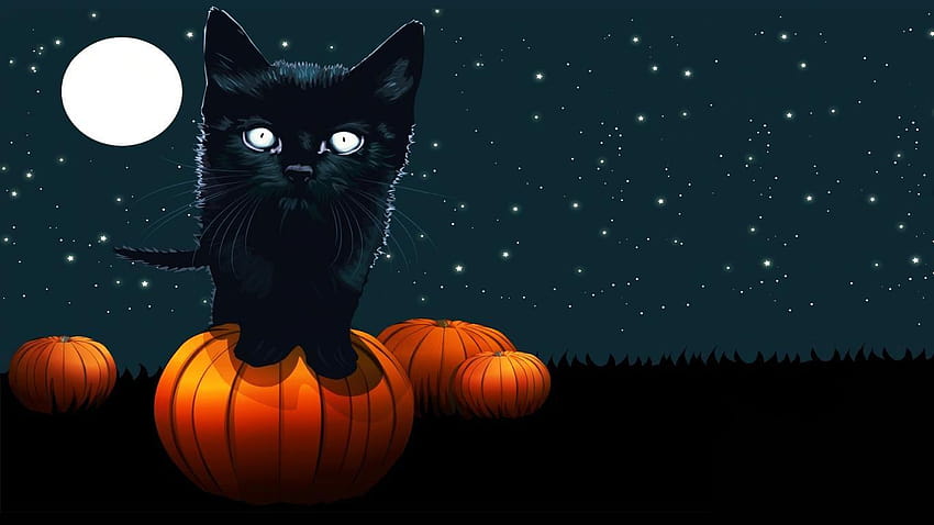 de gatos de halloween, gatos negros de halloween fondo de pantalla